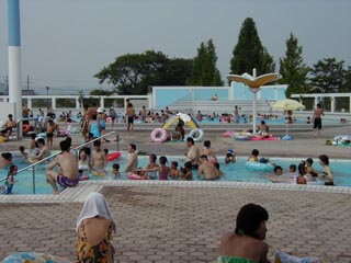 プール全景の写真